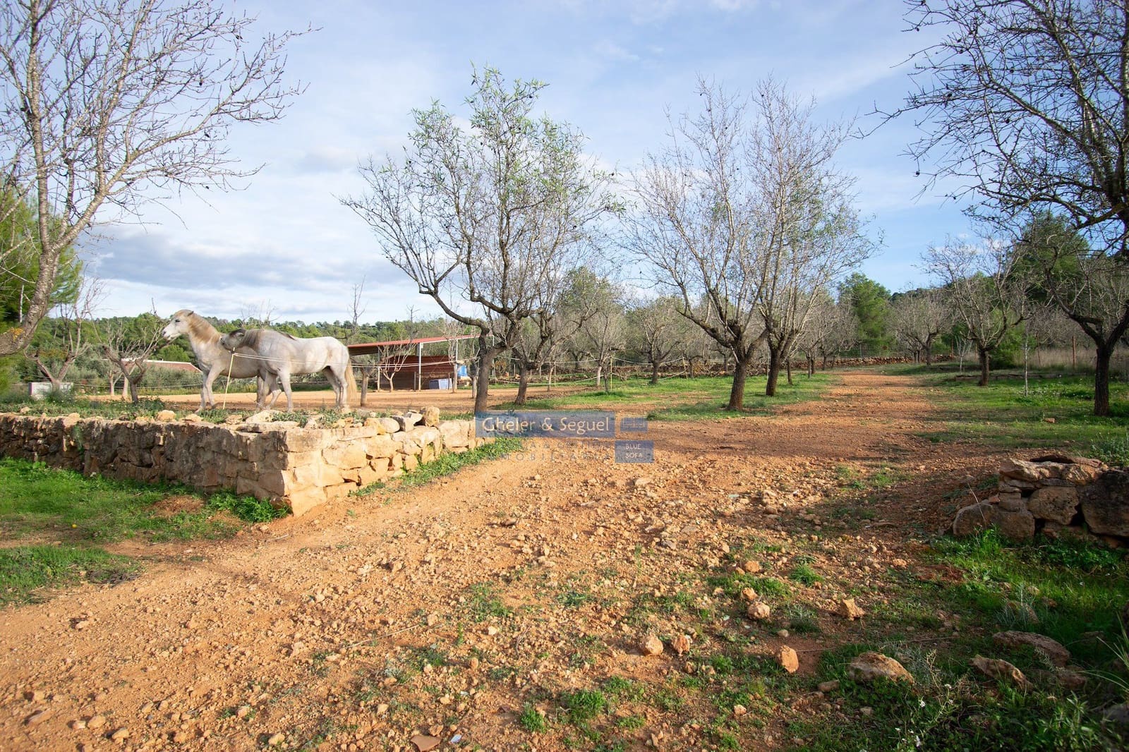 2 camera da letto Villa in vendita in Algimia d'Alfara - 195.000 € (Rif: 9522841)