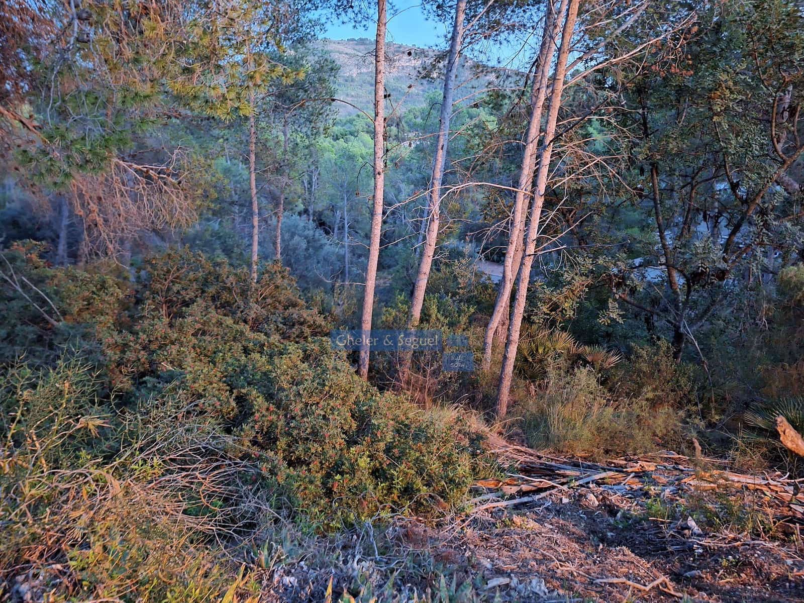 Działka budowlana na sprzedaż w Naquera - 199 000 € (Ref: 9598462)