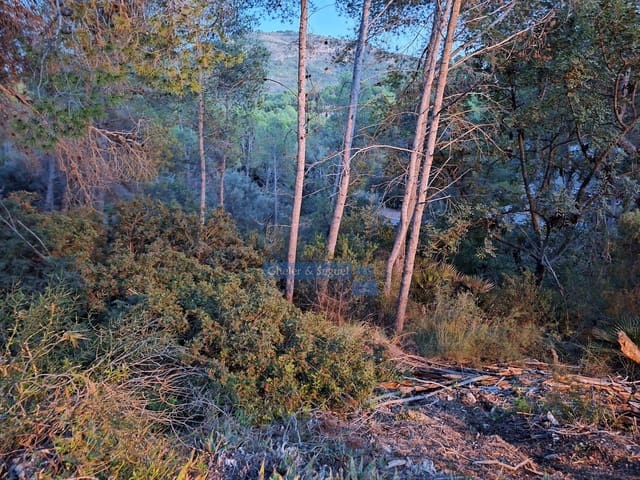 Bauplatz zu verkaufen in Náquera - 199.000 € (Ref: 9598462)