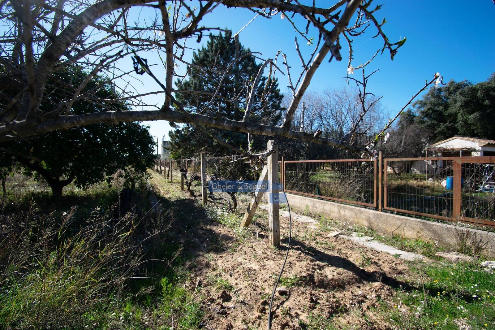 5 soveværelse Finca/Landehus til salg i Ontinyent - € 199.900 (Ref: 9643591)