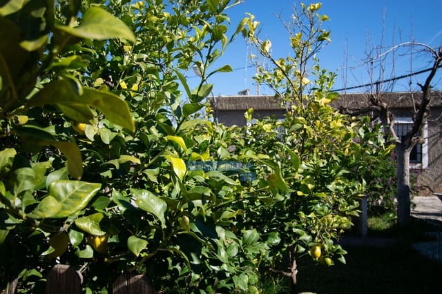 3 chambre Finca/Maison de Campagne à vendre à Algimia d'Alfara - 195 000 € (Ref: 9761561)