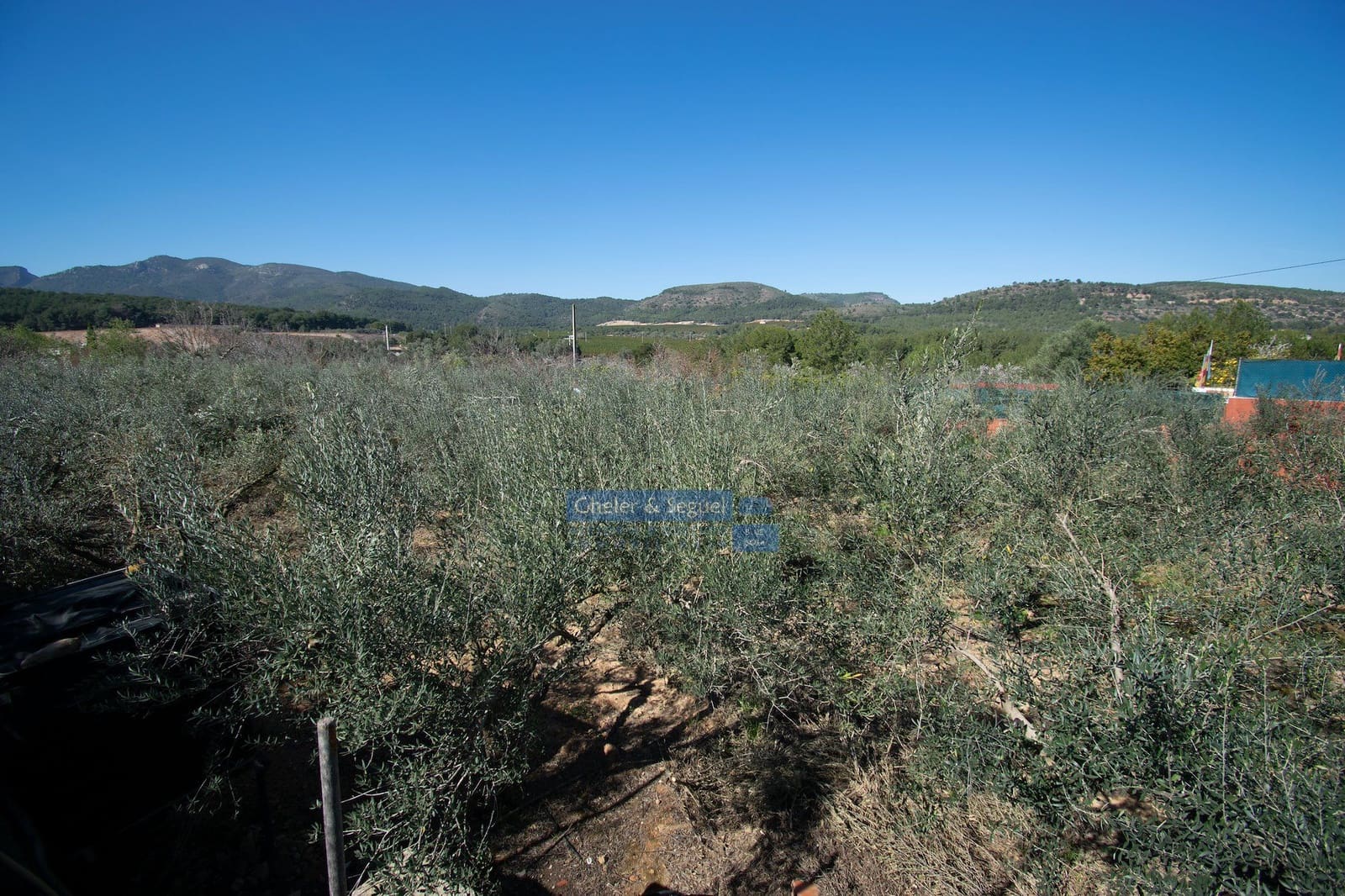 3 chambre Finca/Maison de Campagne à vendre à Algimia d'Alfara - 195 000 € (Ref: 9761561)