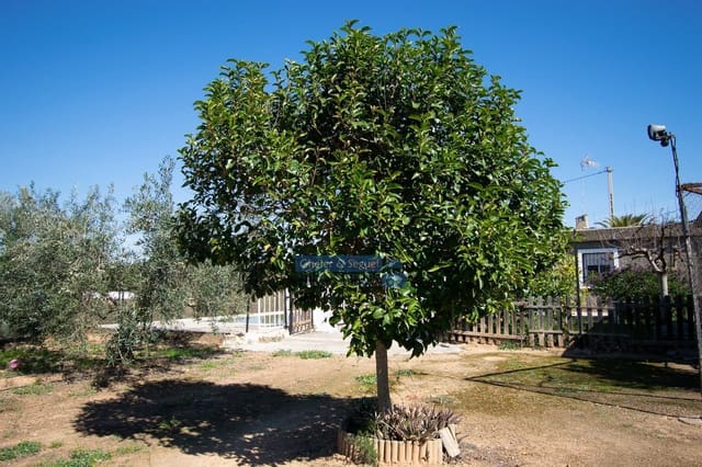 3 chambre Finca/Maison de Campagne à vendre à Algimia d'Alfara - 195 000 € (Ref: 9761561)