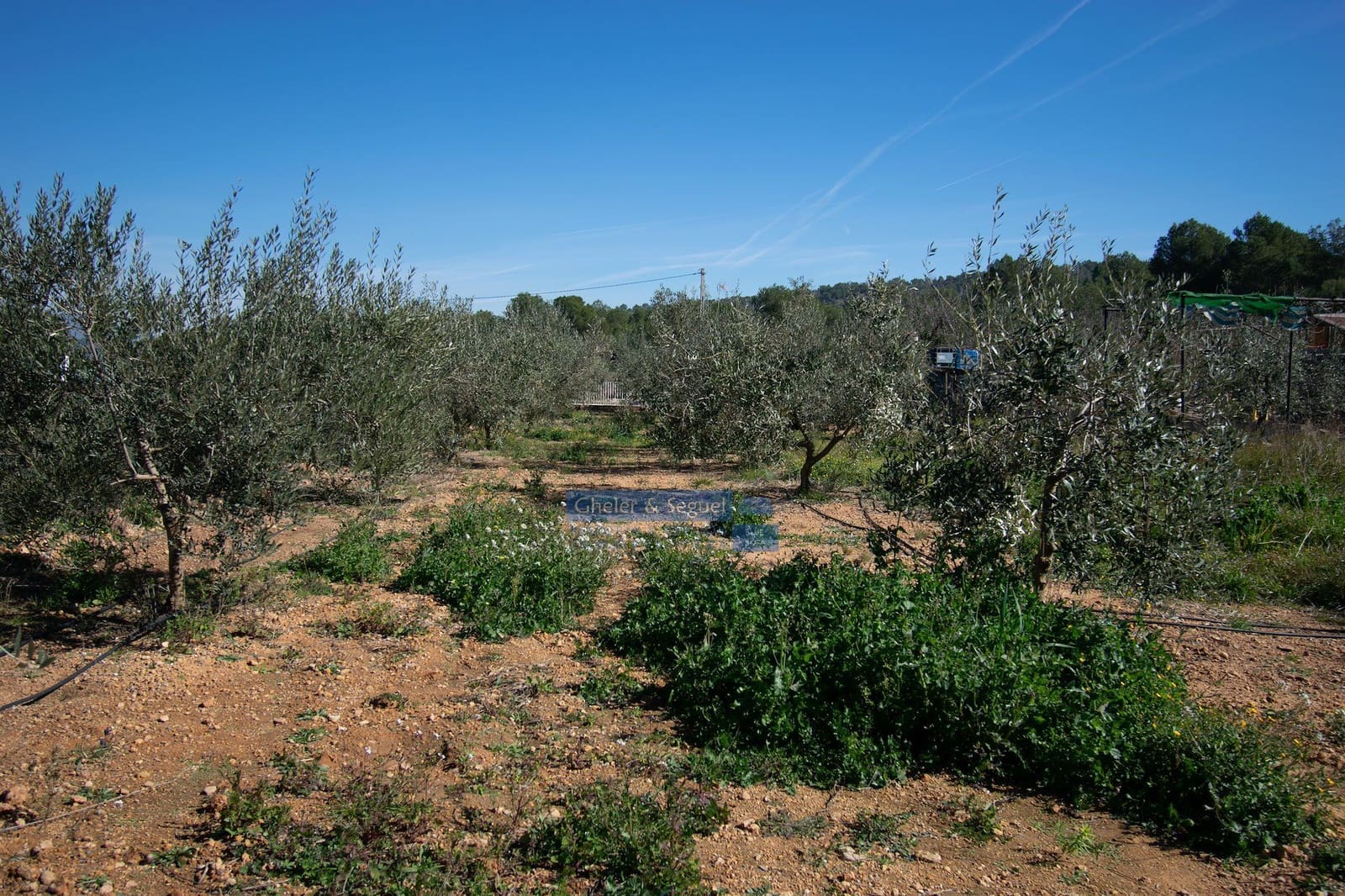 3 chambre Finca/Maison de Campagne à vendre à Algimia d'Alfara - 195 000 € (Ref: 9761561)