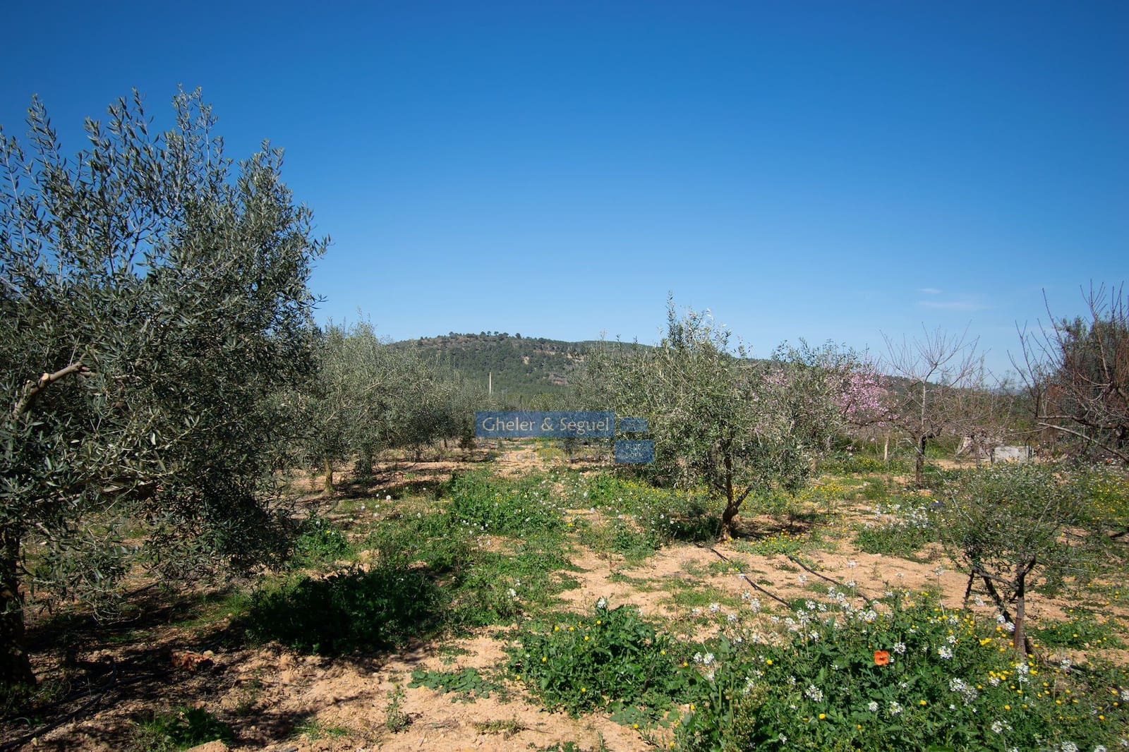 3 chambre Finca/Maison de Campagne à vendre à Algimia d'Alfara - 195 000 € (Ref: 9761561)