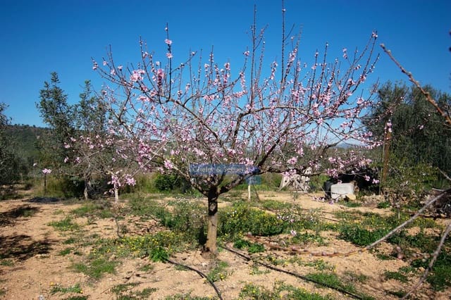 3 chambre Finca/Maison de Campagne à vendre à Algimia d'Alfara - 195 000 € (Ref: 9761561)