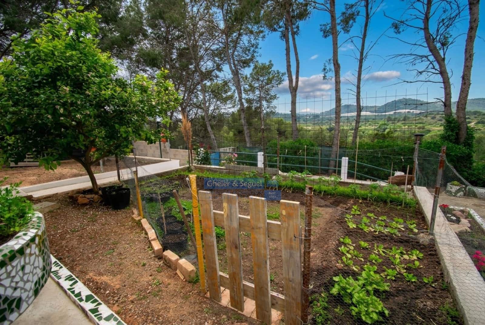 4 bedroom Villa for sale in Alfara d'Algimia - € 235,000 (Ref: 9803796)