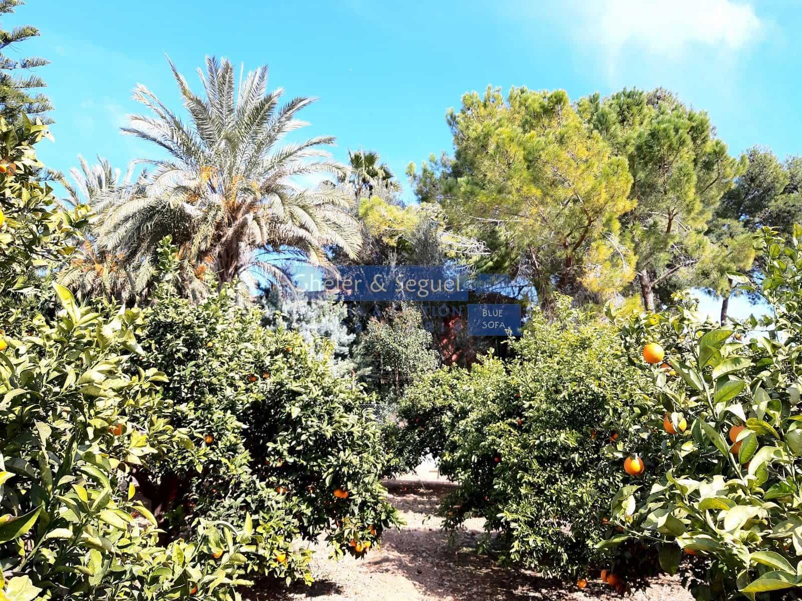 4 slaapkamer Villa te koop in Albalat dels Tarongers - € 428.900 (Ref: 9893542)