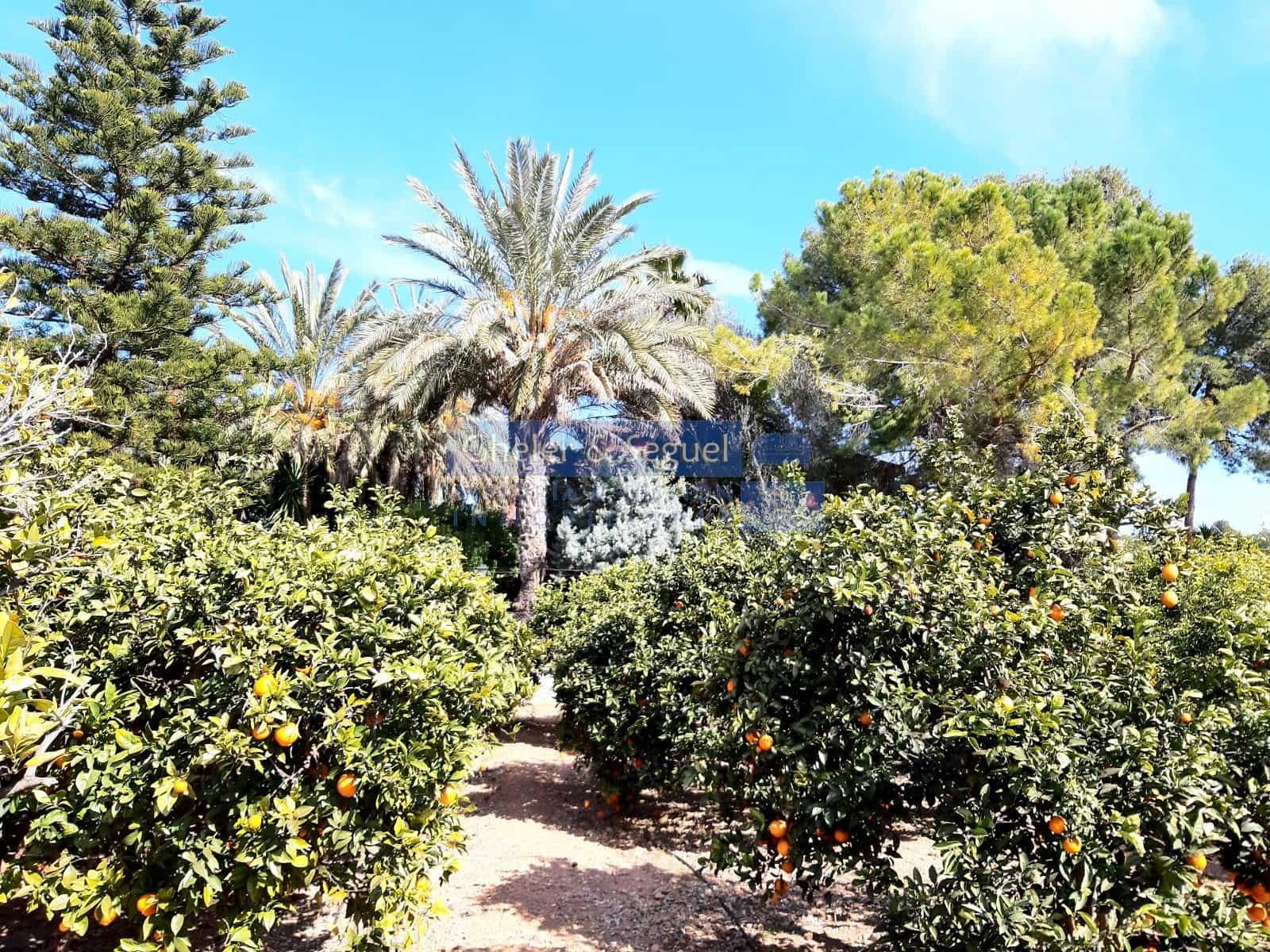 4 slaapkamer Villa te koop in Albalat dels Tarongers - € 428.900 (Ref: 9893542)