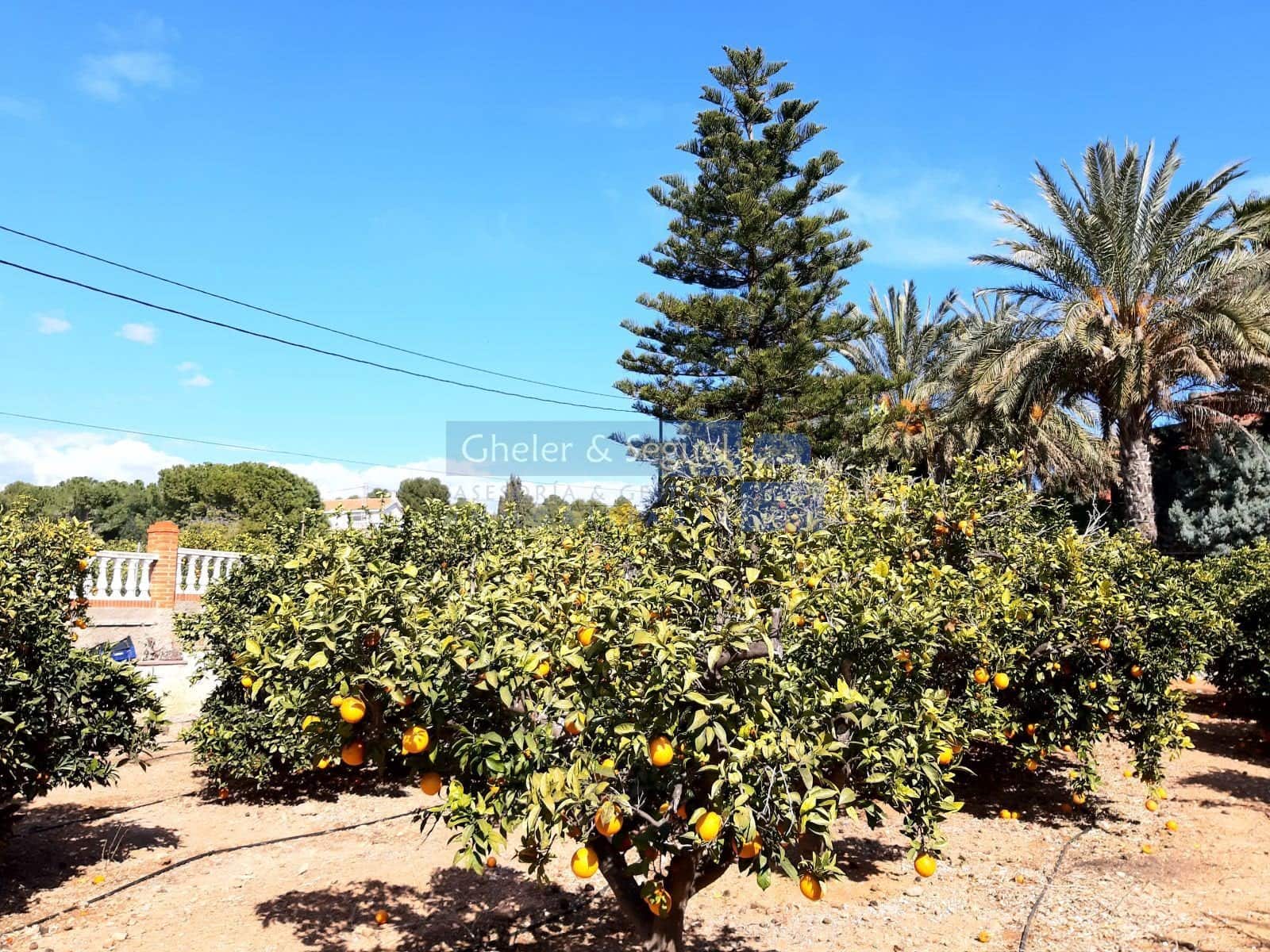 4 slaapkamer Villa te koop in Albalat dels Tarongers - € 428.900 (Ref: 9893542)