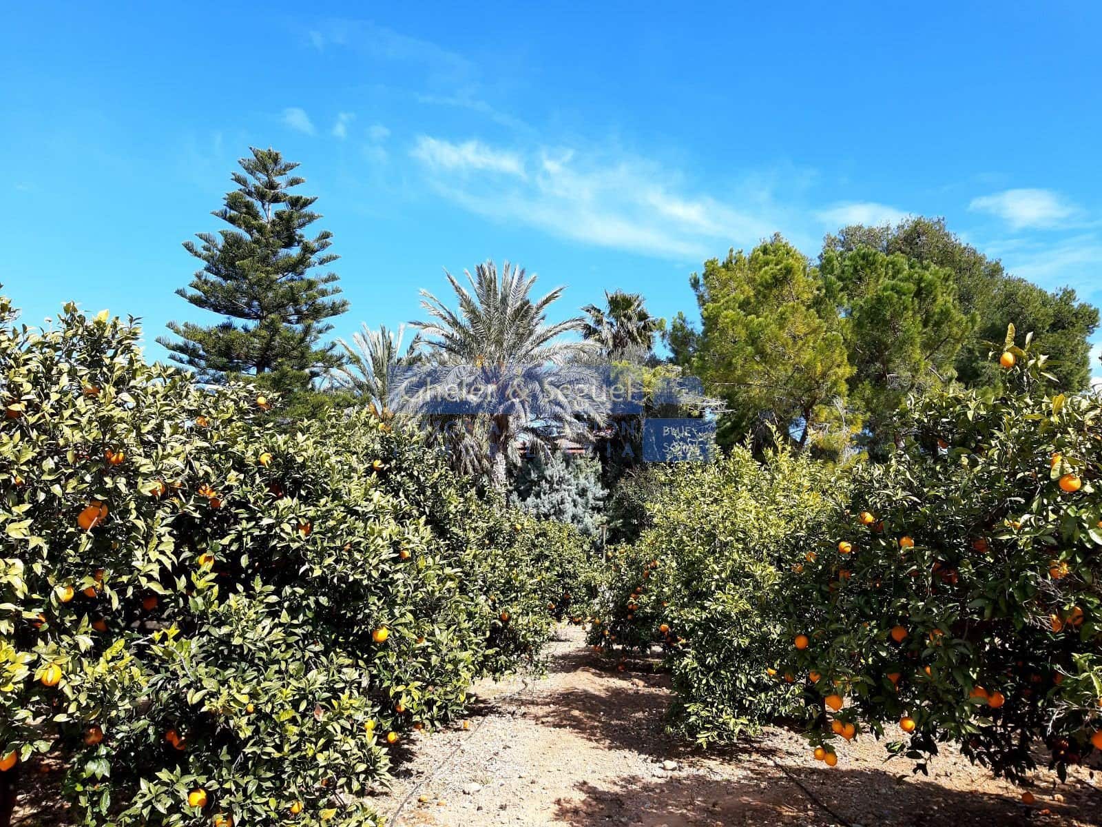 4 slaapkamer Villa te koop in Albalat dels Tarongers - € 428.900 (Ref: 9893542)