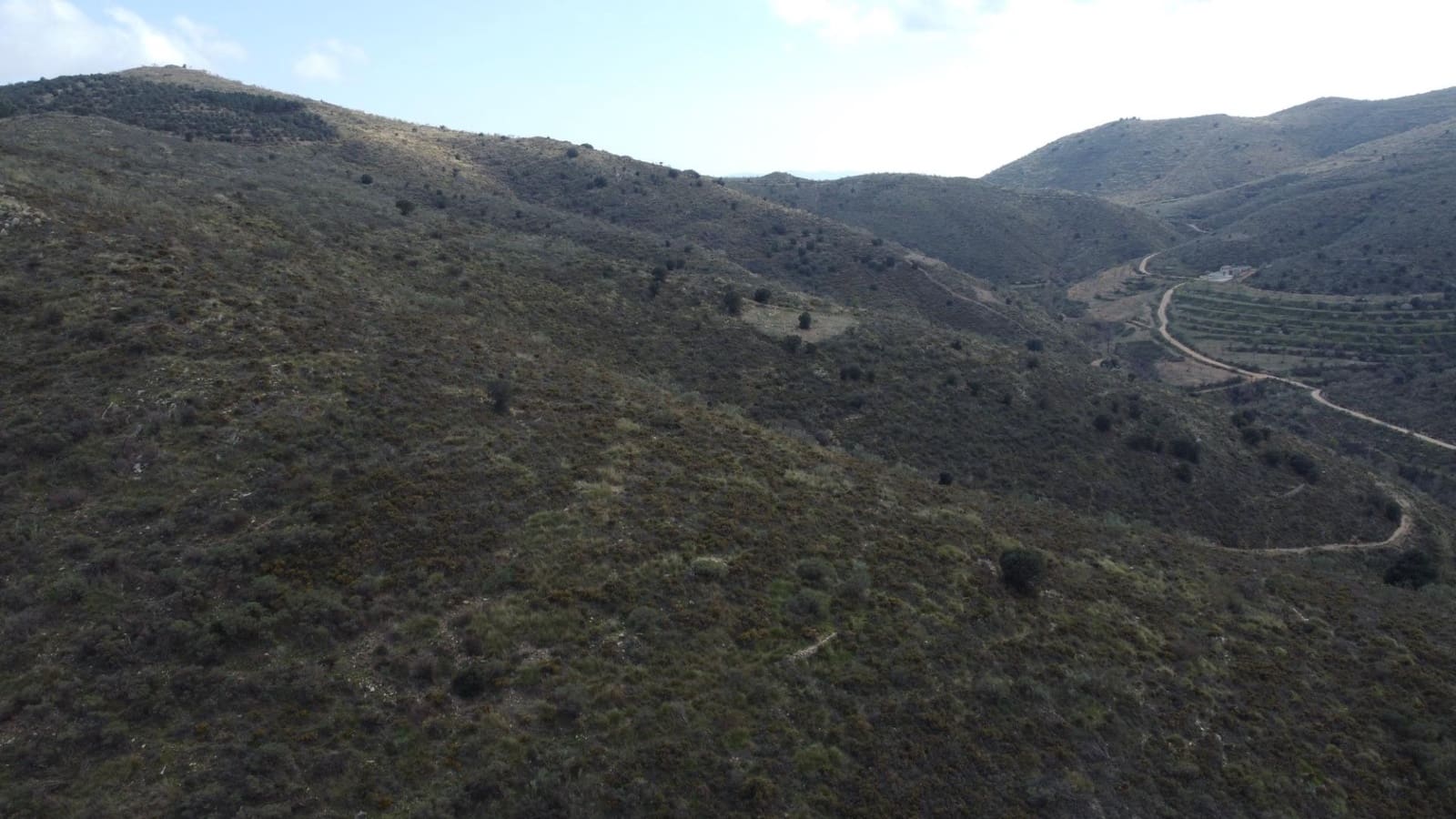 Terreno Não Urbanizado para venda em Tahal - 60 000 € (Ref: 10078505)