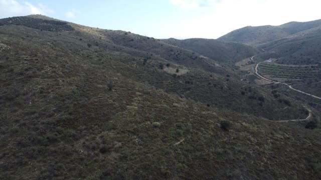 Terreno Não Urbanizado para venda em Tahal - 60 000 € (Ref: 10078505)