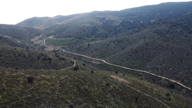 Terreno Não Urbanizado para venda em Tahal - 60 000 € (Ref: 10078505)