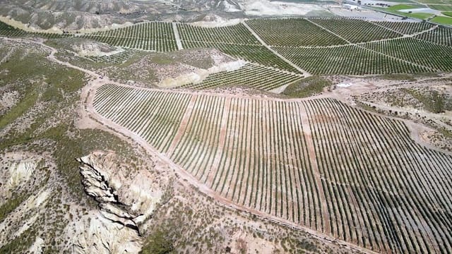 Ubebygd land til salgs i Cuevas del Almanzora - € 1 010 752 (Ref: 6892520)