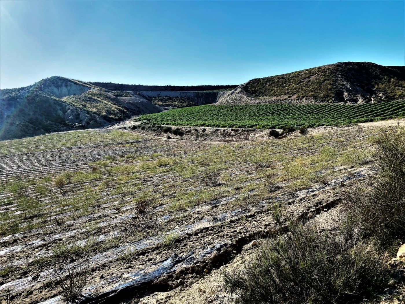 Grunde uden byggetilladelser til salg i Cuevas del Almanzora - € 1.010.752 (Ref: 6892520)