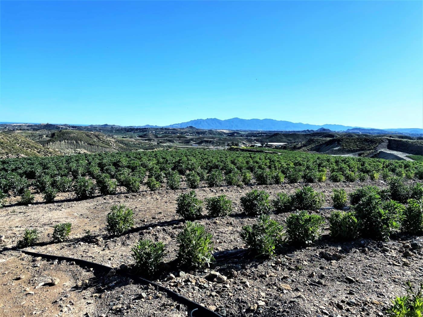 Grunde uden byggetilladelser til salg i Cuevas del Almanzora - € 1.010.752 (Ref: 6892520)