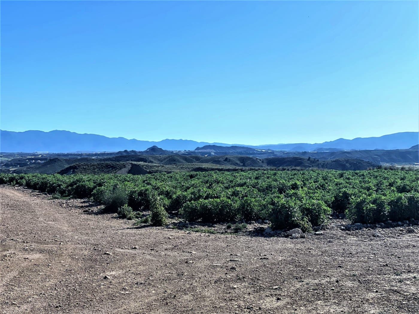 Grunde uden byggetilladelser til salg i Cuevas del Almanzora - € 1.010.752 (Ref: 6892520)