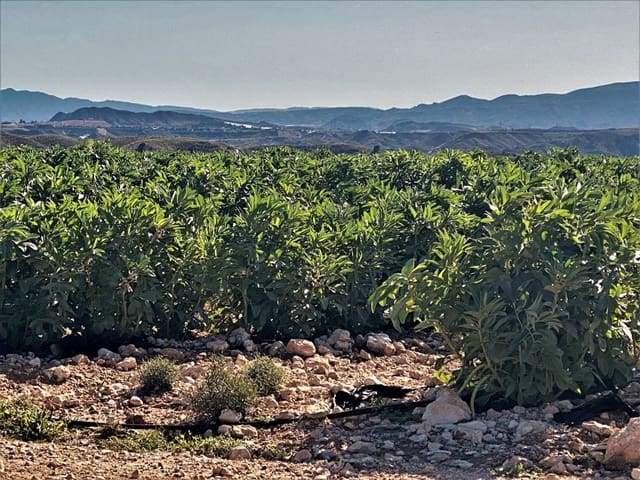 Ubebygd land til salgs i Cuevas del Almanzora - € 1 010 752 (Ref: 6892520)