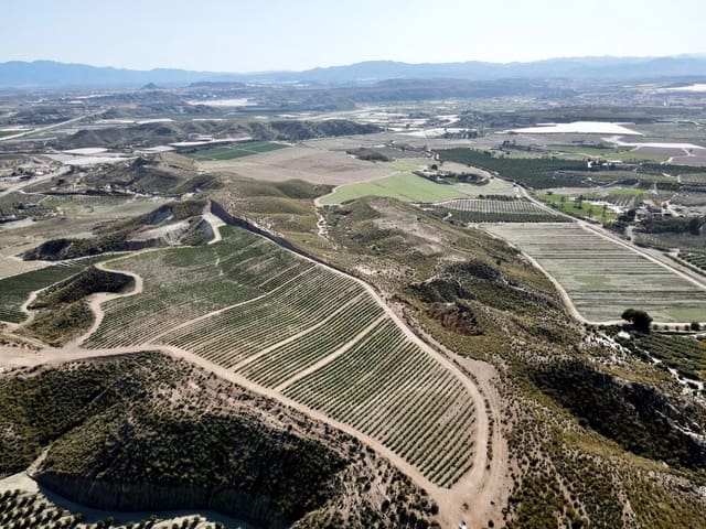 Ubebygd land til salgs i Cuevas del Almanzora - € 1 010 752 (Ref: 6892520)
