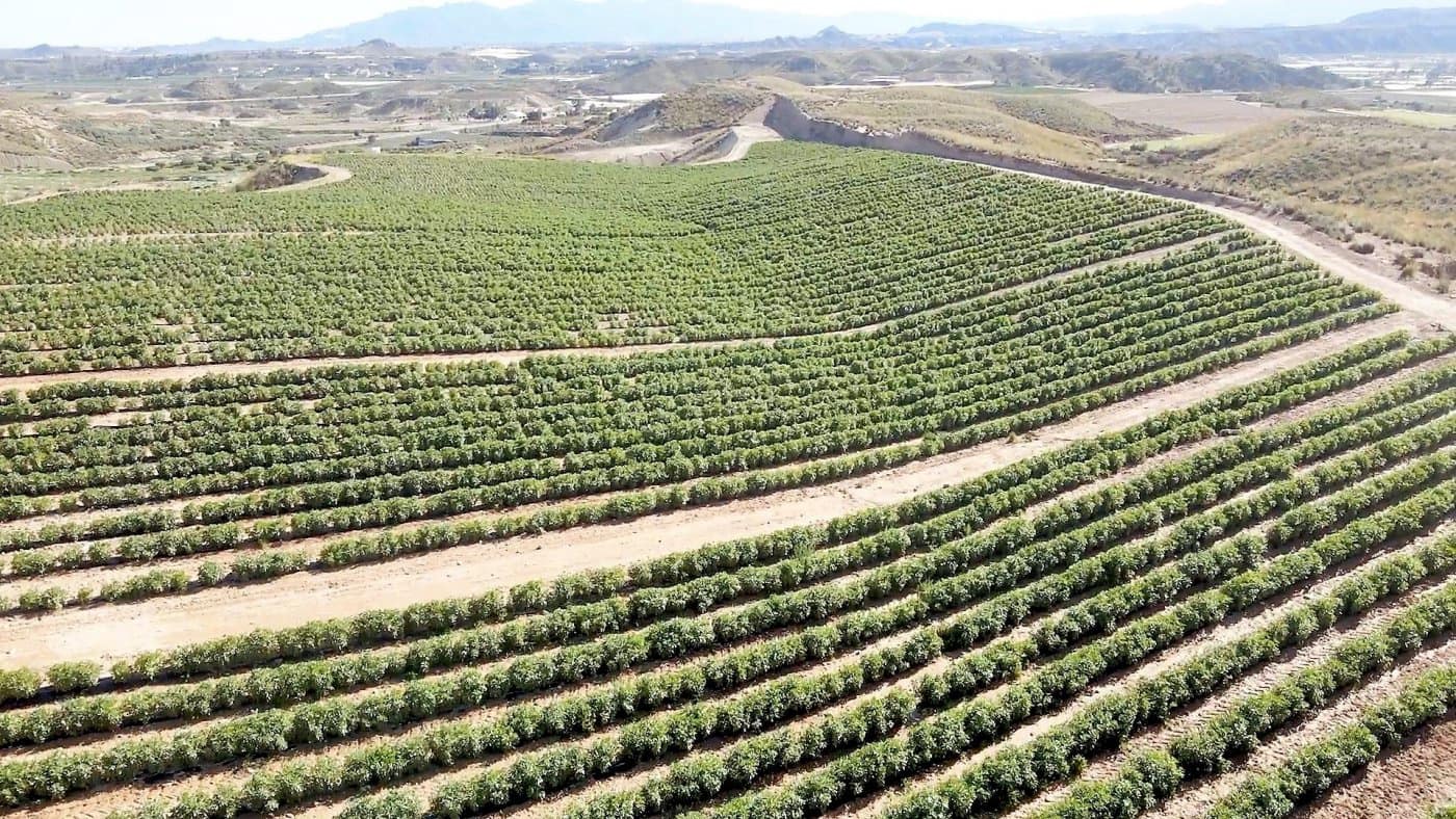 Grunde uden byggetilladelser til salg i Cuevas del Almanzora - € 1.010.752 (Ref: 6892520)