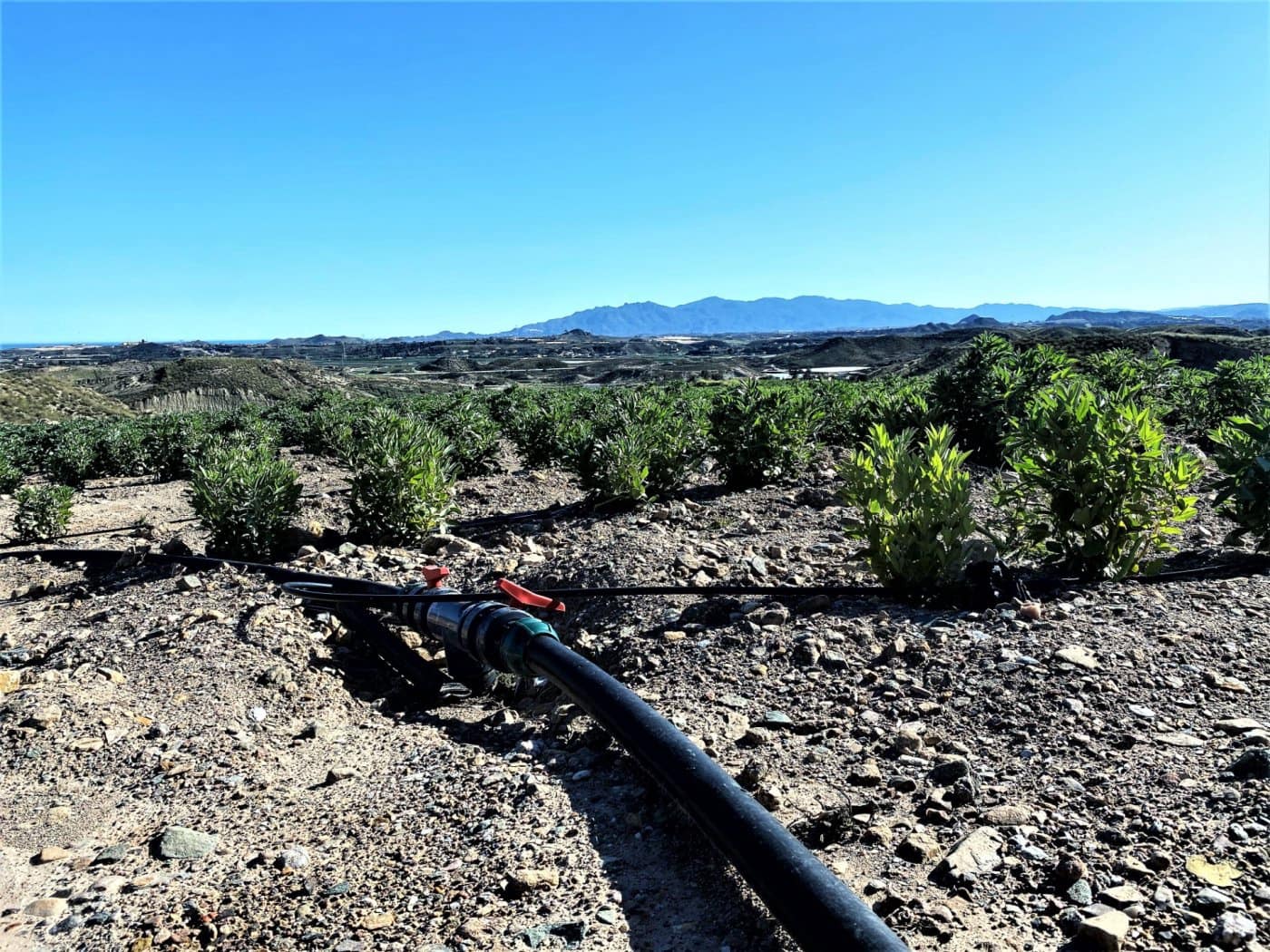 Grunde uden byggetilladelser til salg i Cuevas del Almanzora - € 1.010.752 (Ref: 6892520)