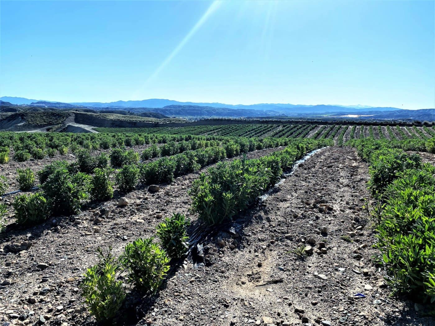 Grunde uden byggetilladelser til salg i Cuevas del Almanzora - € 1.010.752 (Ref: 6892520)