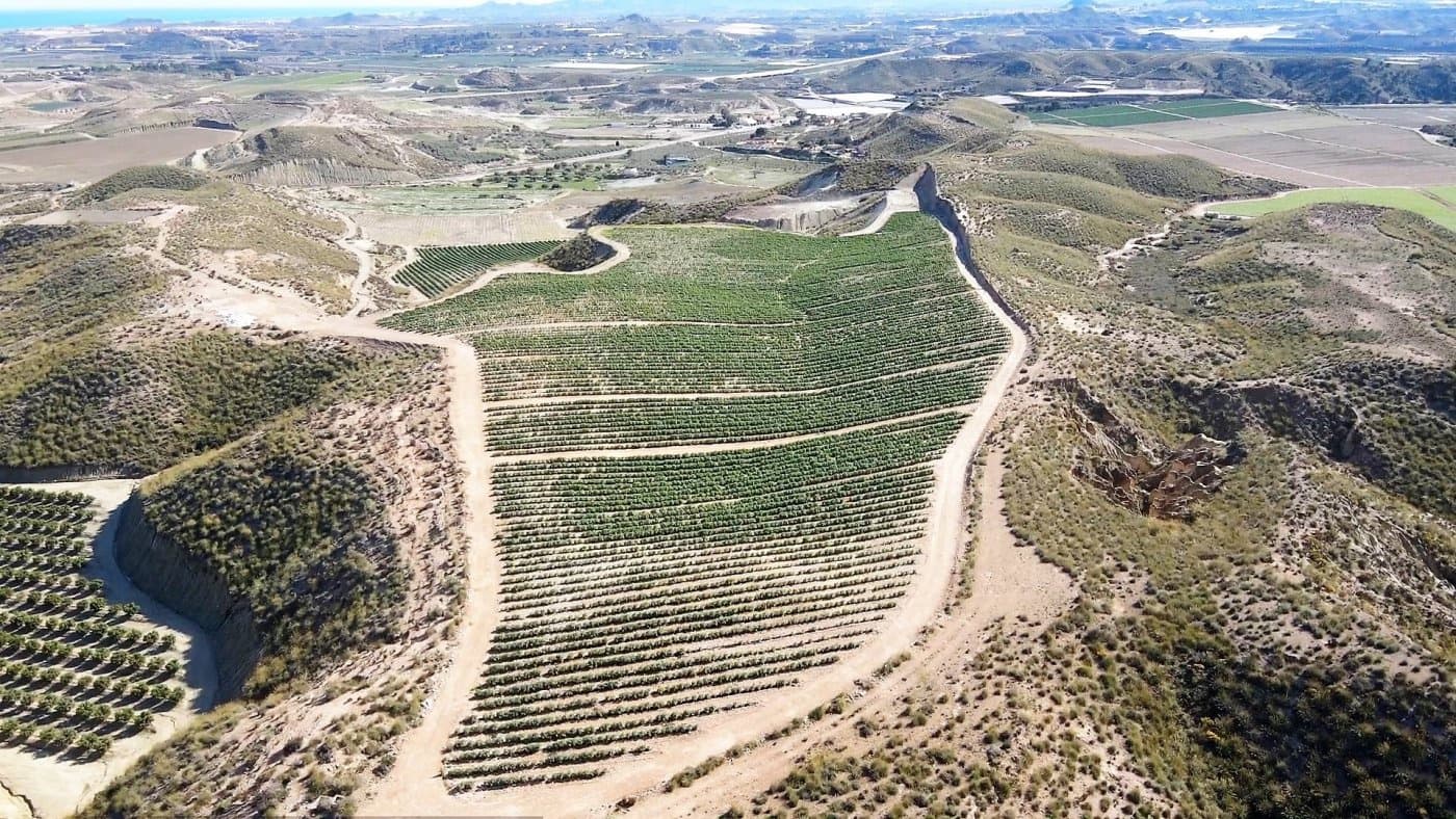 Grunde uden byggetilladelser til salg i Cuevas del Almanzora - € 1.010.752 (Ref: 6892520)