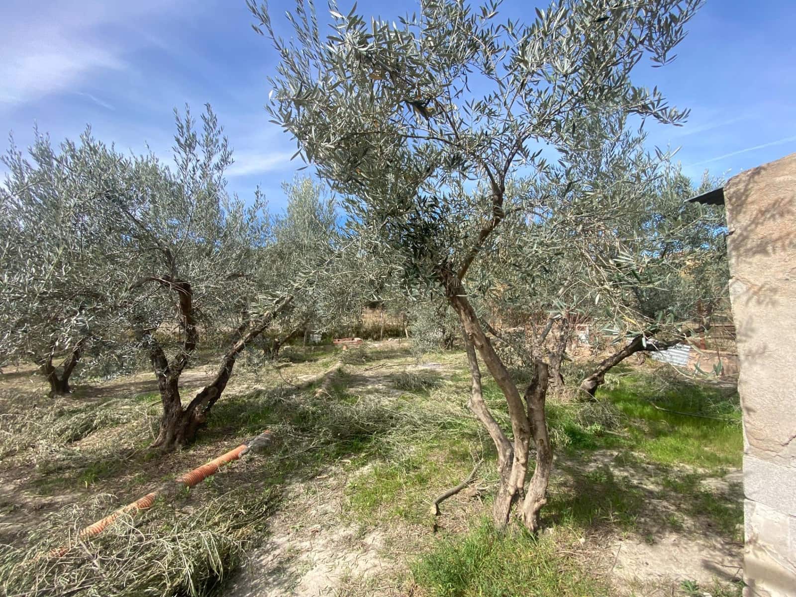 2 soverom Finca/Herregård til salgs i Tijola - € 51 000 (Ref: 7464106)