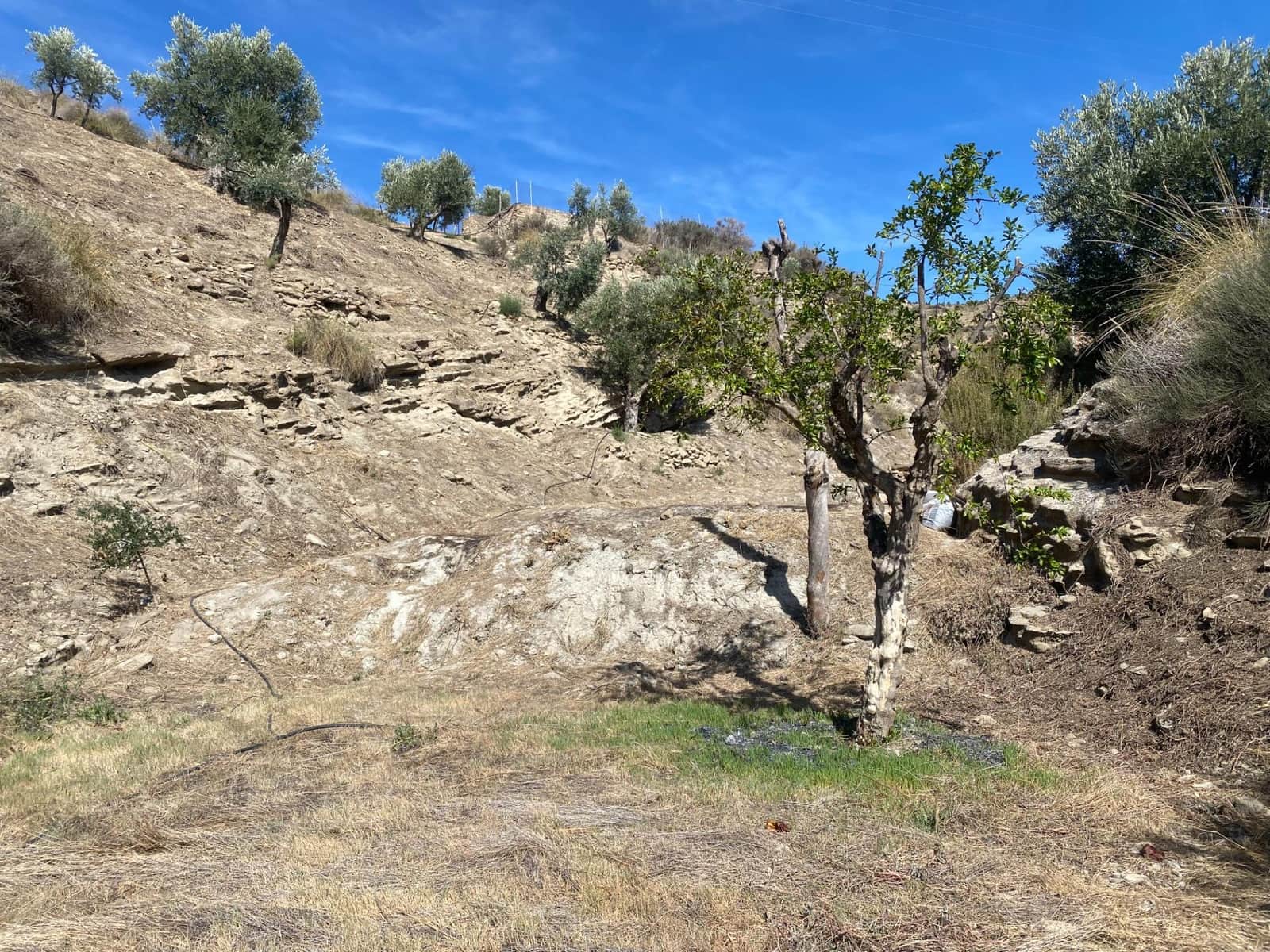 Byggetomt til salgs i Urracal - € 19 000 (Ref: 7498529)