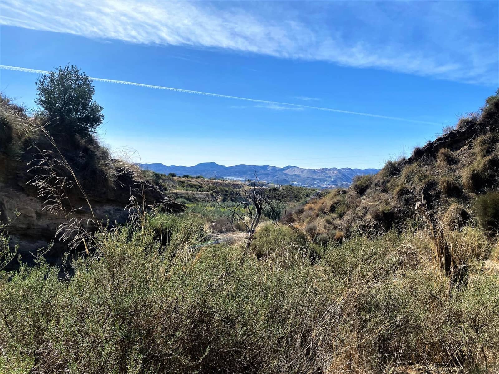 Byggetomt til salgs i Urracal - € 19 000 (Ref: 7498529)