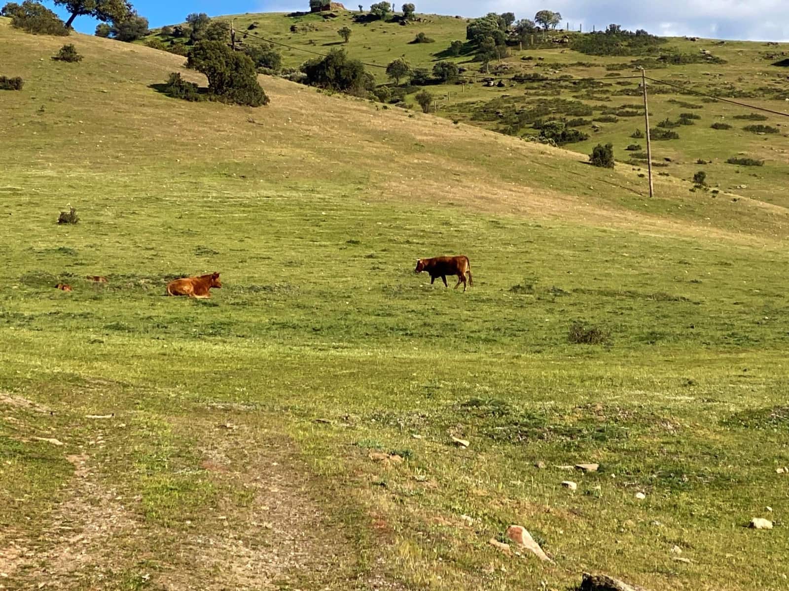 5 soveværelse Finca/Landehus til salg i Banos de la Encina - € 190.000 (Ref: 7498855)