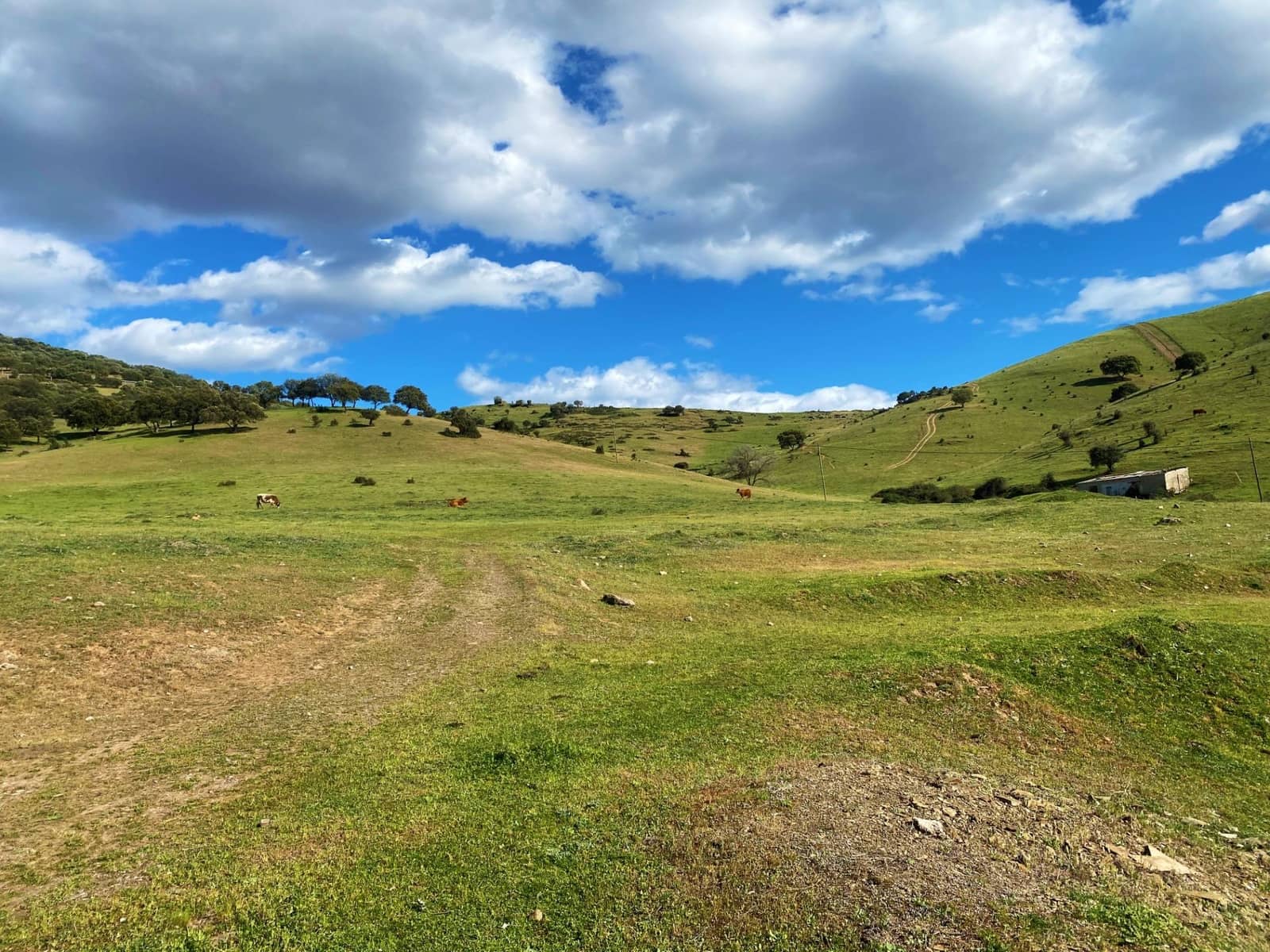 5 soveværelse Finca/Landehus til salg i Banos de la Encina - € 190.000 (Ref: 7498855)