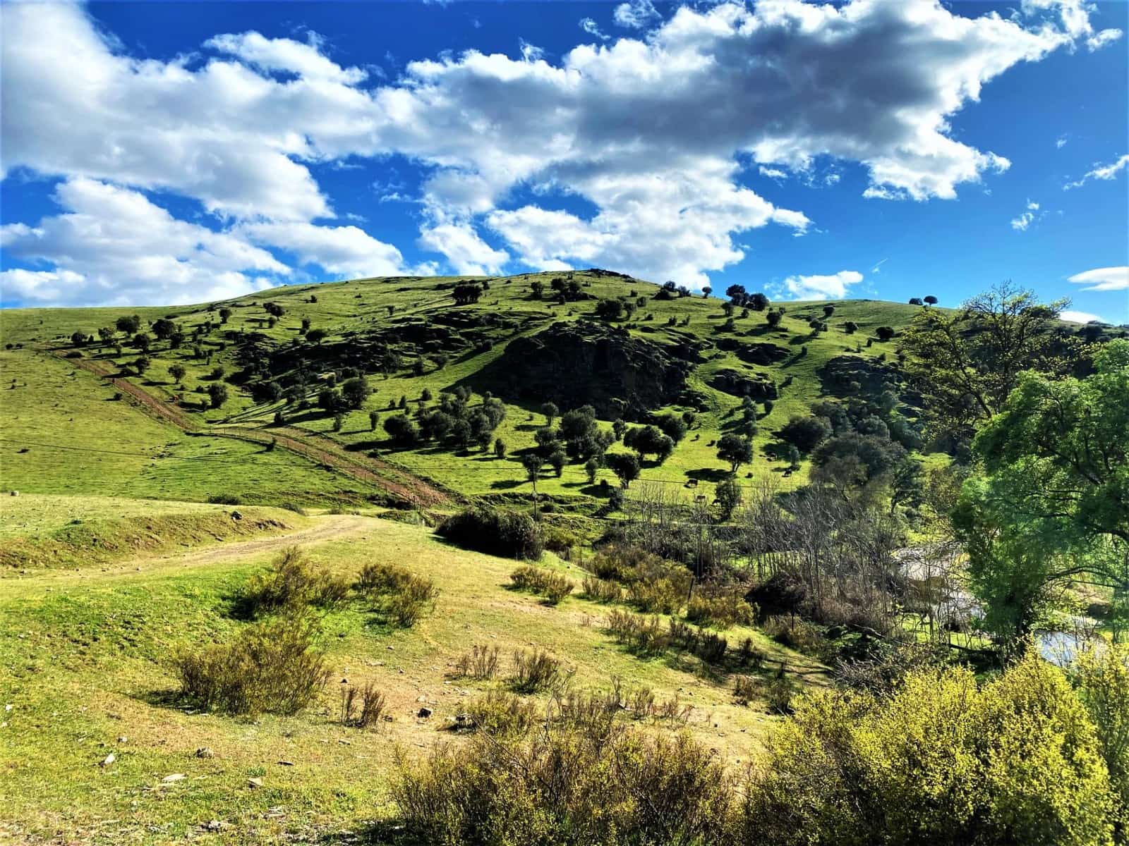 5 soveværelse Finca/Landehus til salg i Banos de la Encina - € 190.000 (Ref: 7498855)