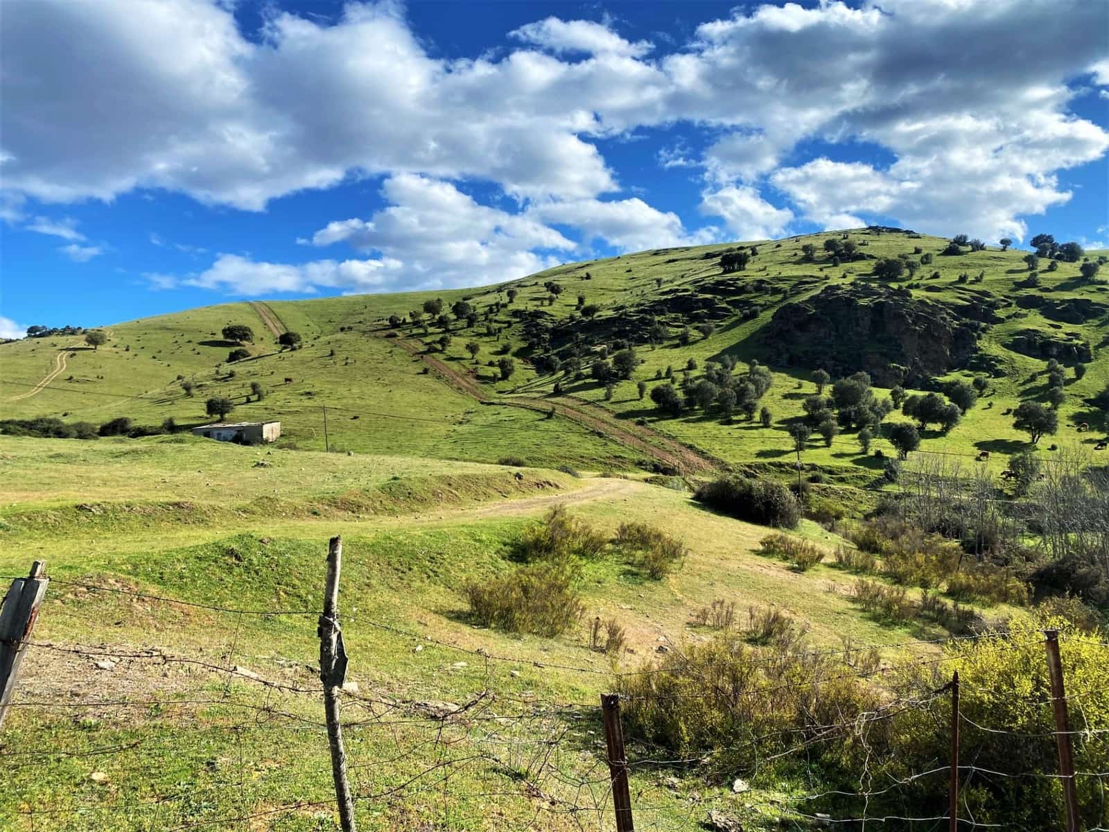 5 soveværelse Finca/Landehus til salg i Banos de la Encina - € 190.000 (Ref: 7498855)