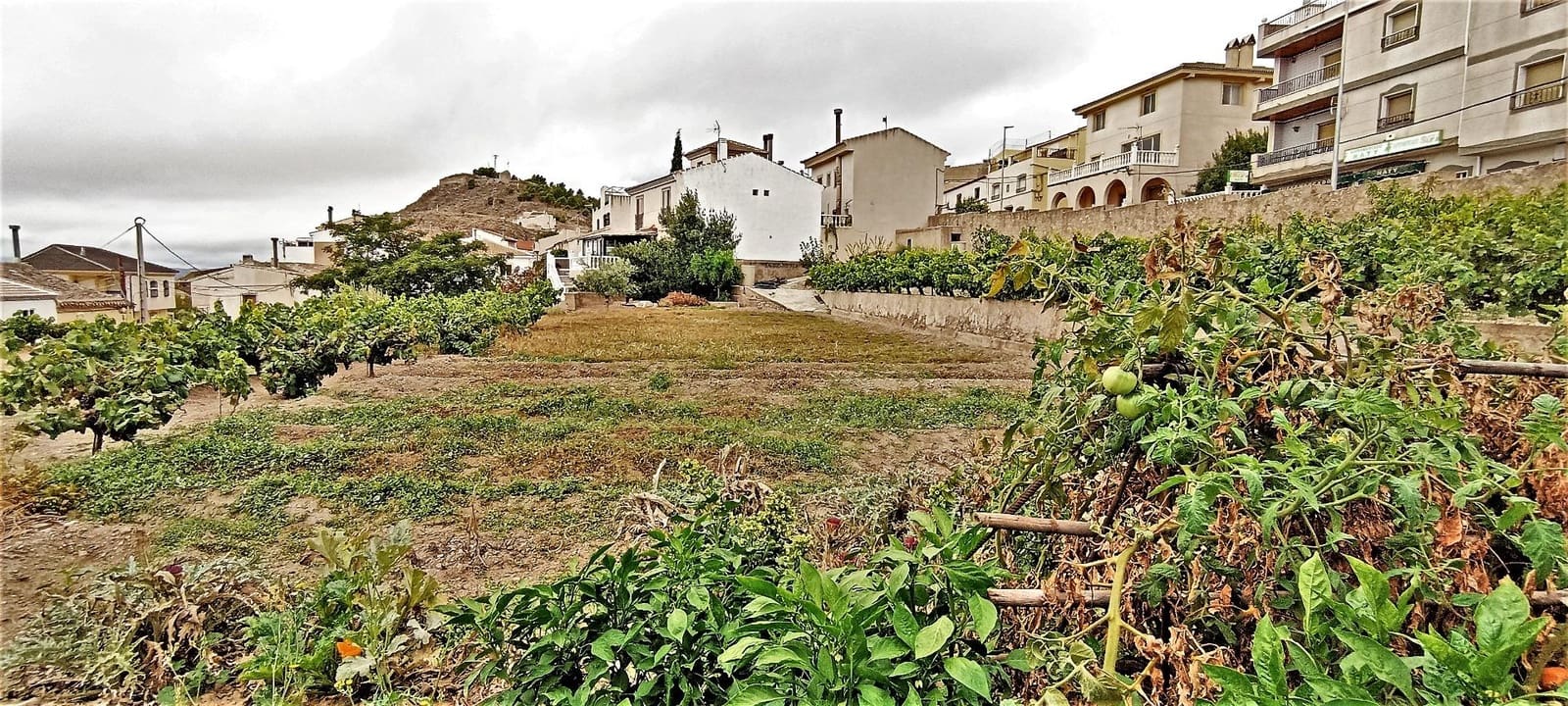 5 soverom Villa til salgs i Oria med garasje - € 499 000 (Ref: 7775841)
