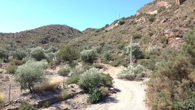 Mark till salu i Cantoria - 18 000 € (Ref: 7811703)