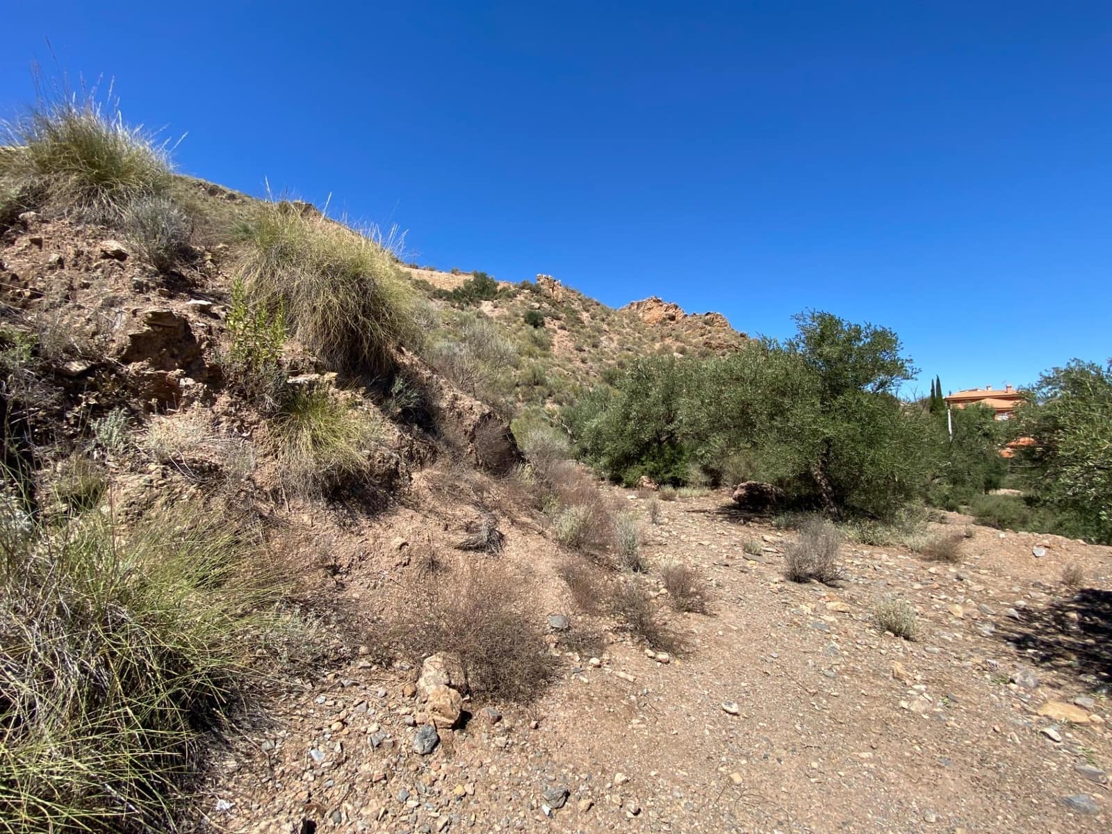 Grunde uden byggetilladelser til salg i Cantoria - € 18.000 (Ref: 7811703)