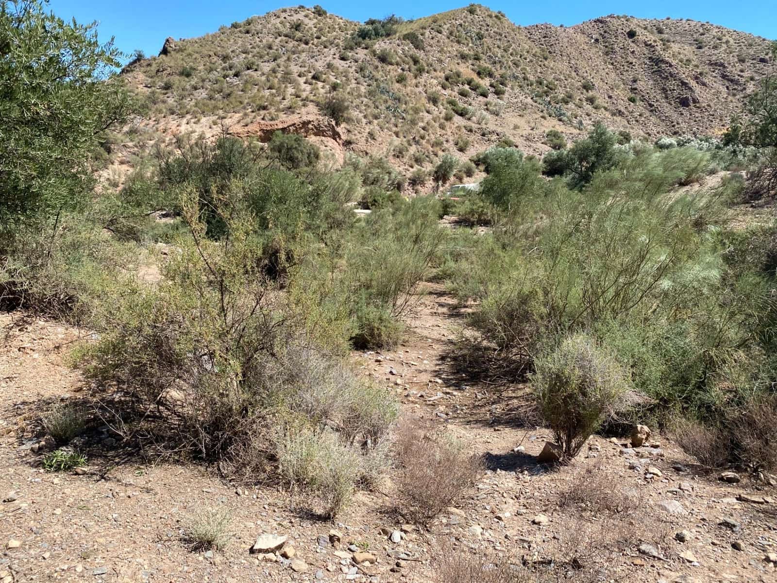 Grunde uden byggetilladelser til salg i Cantoria - € 18.000 (Ref: 7811703)