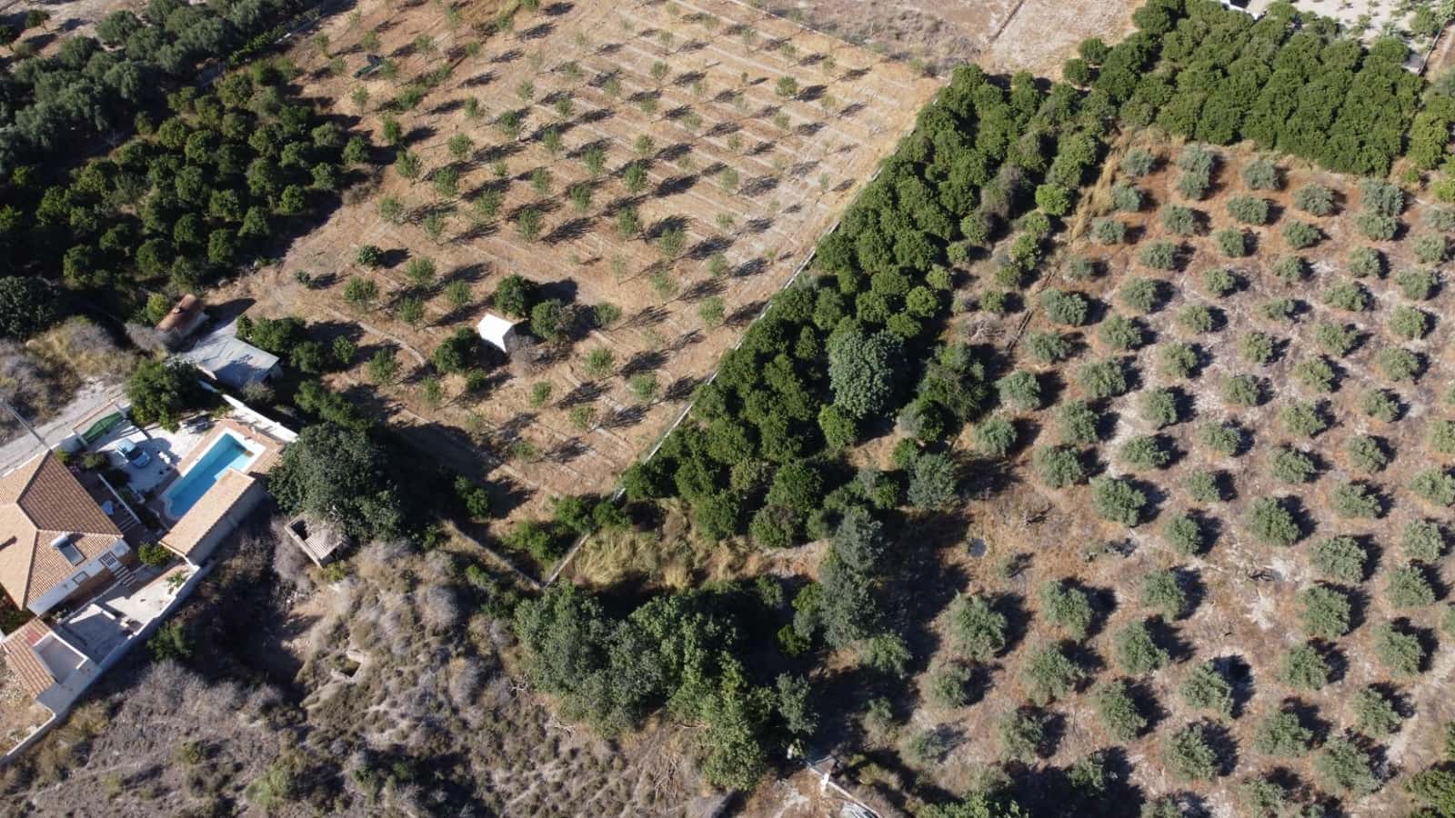 Byggegrund til salg i Cantoria - € 7.500 (Ref: 7815169)