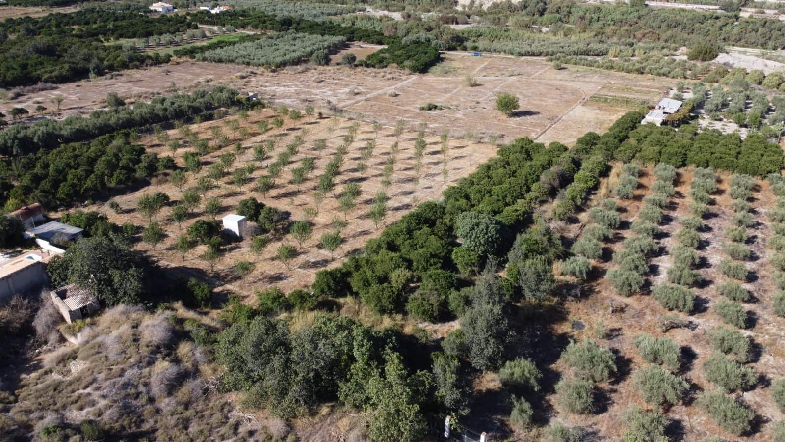 Byggegrund til salg i Cantoria - € 7.500 (Ref: 7815169)