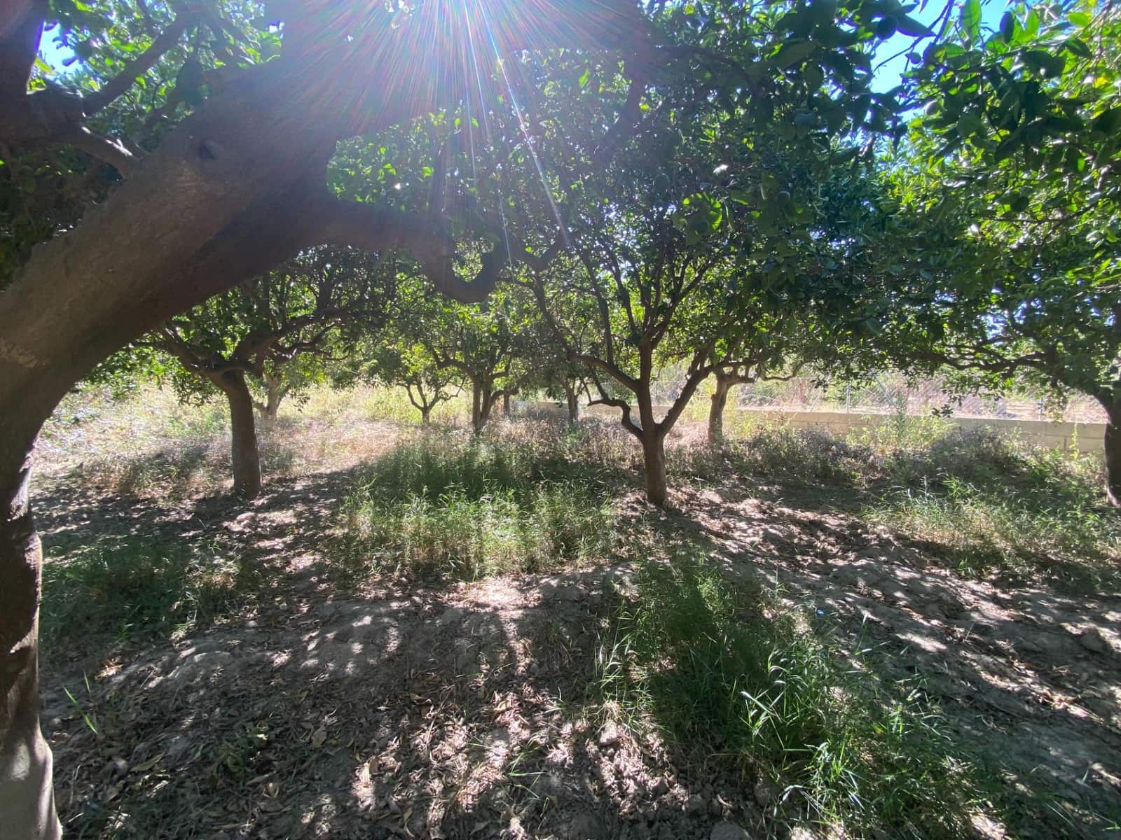 Byggegrund til salg i Cantoria - € 7.500 (Ref: 7815169)