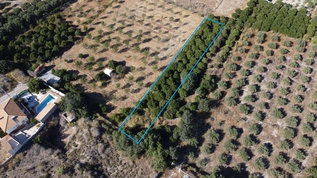 Tontti myytävänä paikassa Cantoria - 7 500 € (Ref: 7815169)