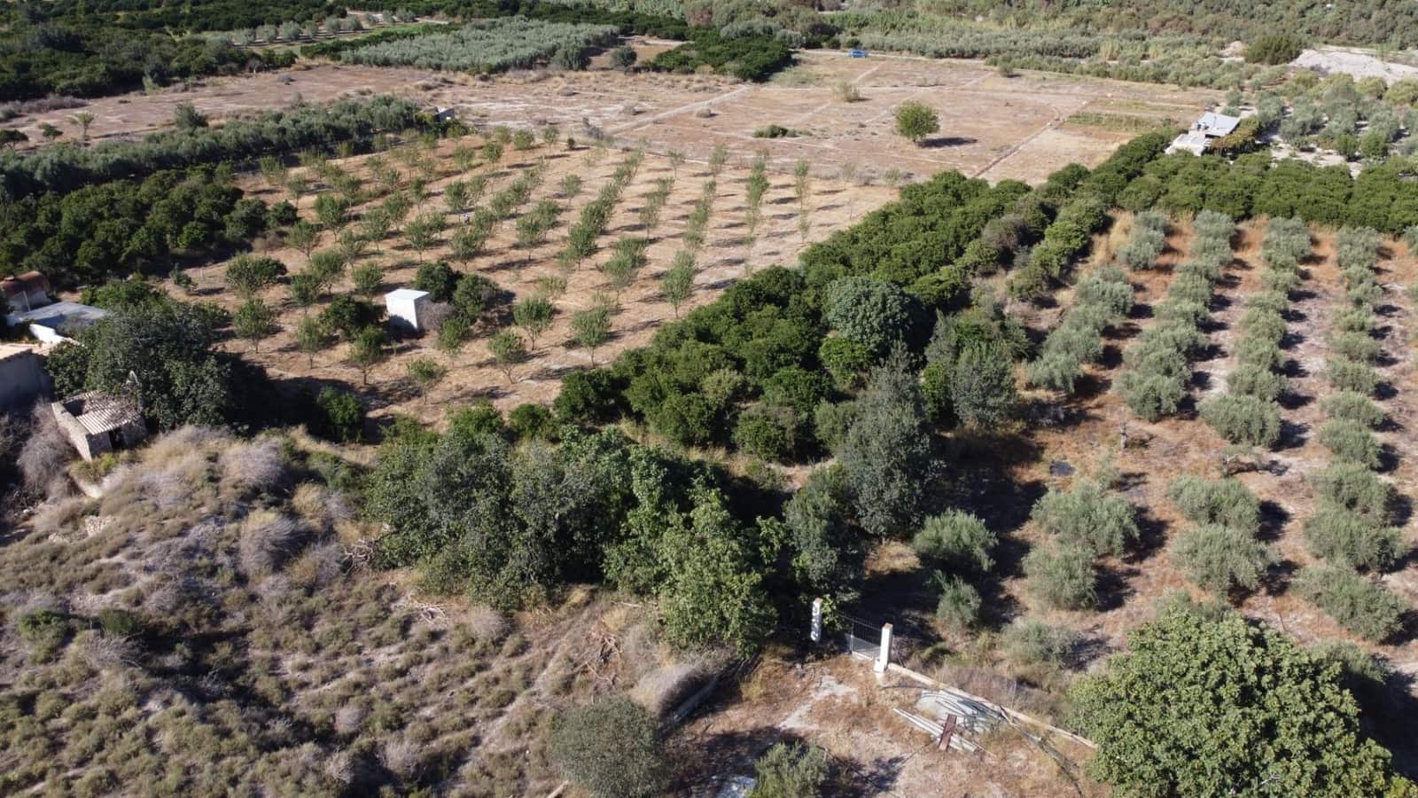 Byggegrund til salg i Cantoria - € 7.500 (Ref: 7815169)