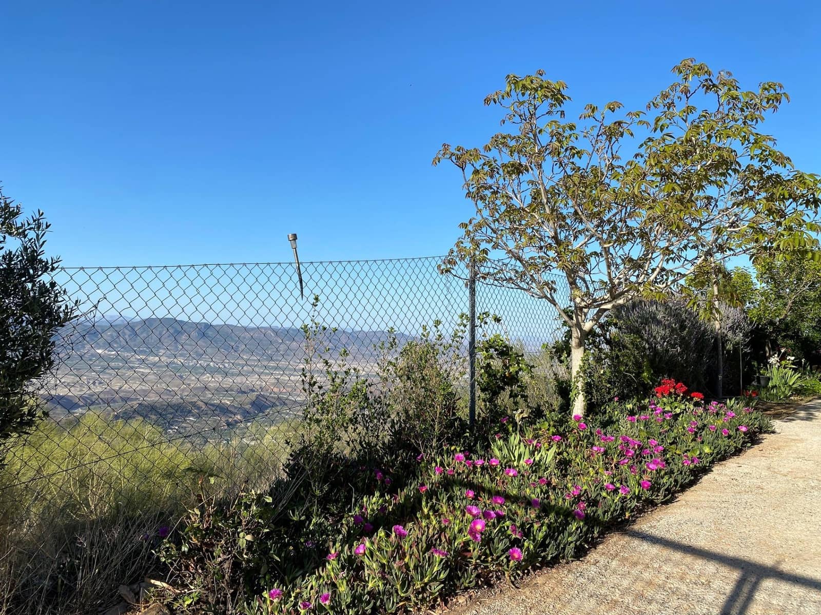 5 soveværelse Finca/Landehus til salg i Sierro - € 269.000 (Ref: 7910610)