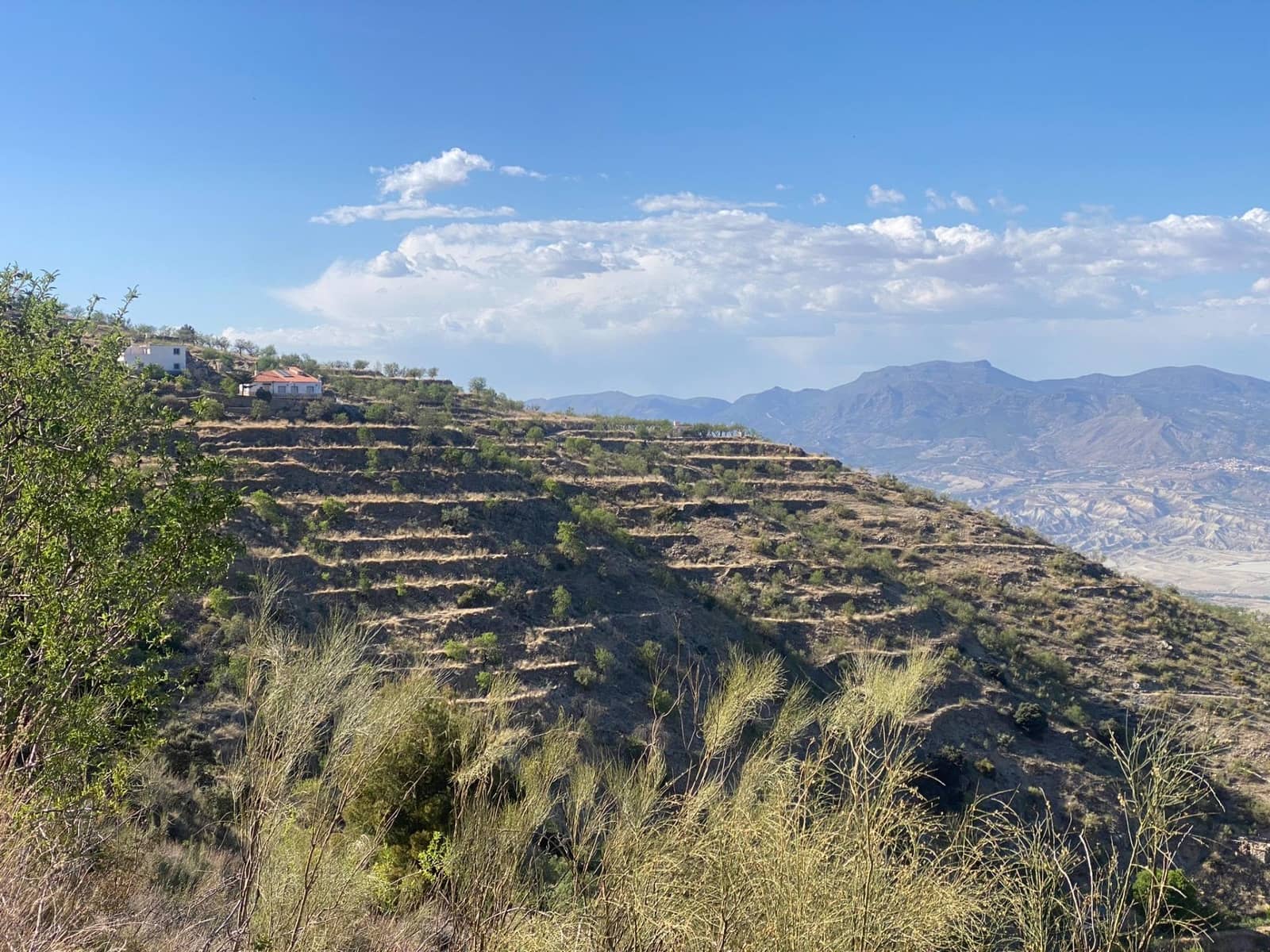 5 soveværelse Finca/Landehus til salg i Sierro - € 269.000 (Ref: 7910610)