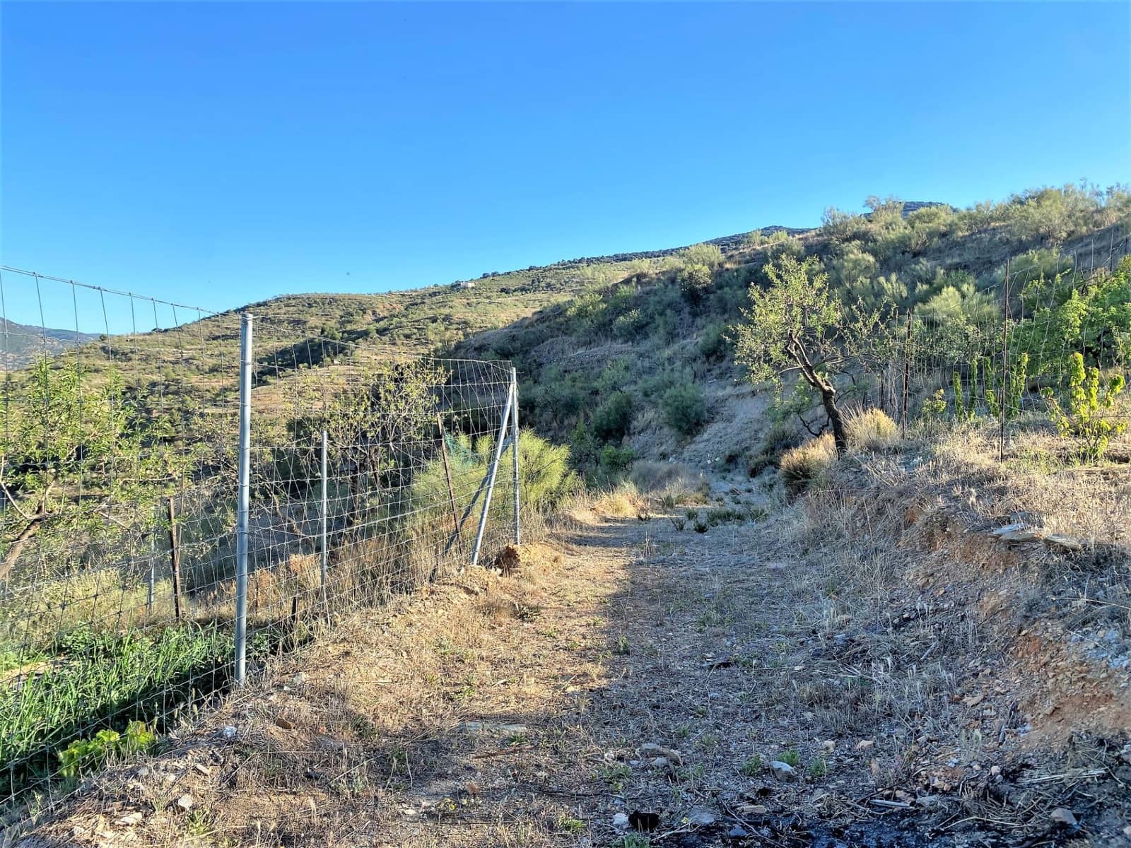 5 soveværelse Finca/Landehus til salg i Sierro - € 269.000 (Ref: 7910610)