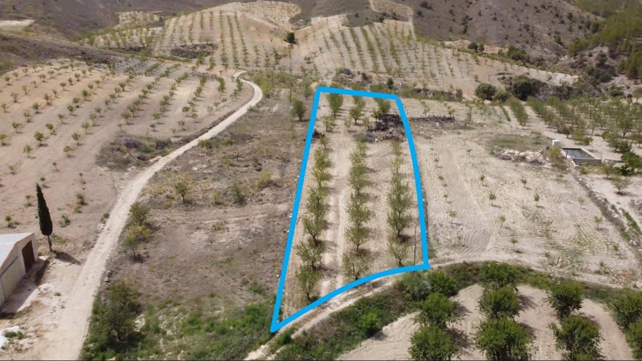 Ubebygd land til salgs i El Margen - € 12 000 (Ref: 8463553)