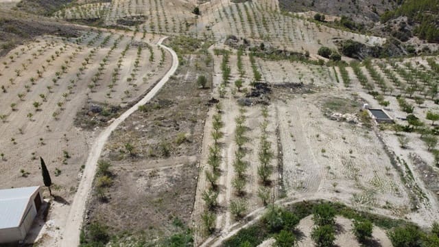 Undeveloped Land for sale in El Margen, Oria - € 12,000 (Ref: 8463553)