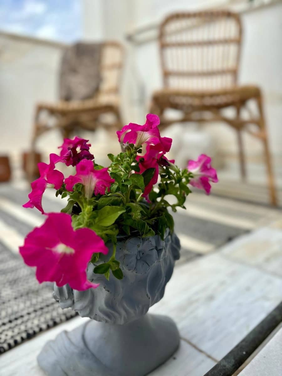 4 soveværelse Villa til salg i Olula del Rio med swimmingpool garage - € 390.000 (Ref: 8646054)